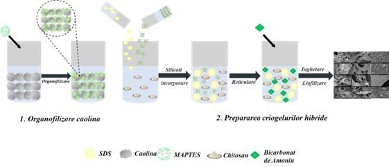 BIOSTIMULANT FOLIAR PE BAZĂ DE SPORI ŞI METABOLIŢI DE TRICHODERMA ŞI PROCEDEU DE OBŢINERE